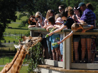 ��������� � �������