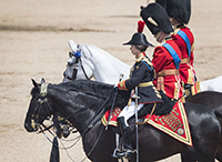 ������ � ��������� - ���������� ���������� ����� 