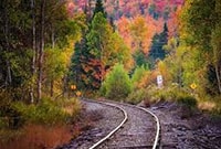 � ������ ������� ������