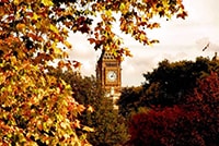 ������� ����� �����������