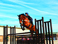 ������ �������� Stonar