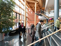 London South Bank University Students