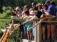 ���������� ����������� �� Etherton Education