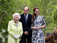 ���� �������� ������ �������