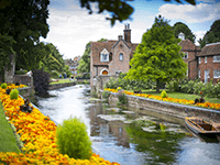 Stafford House International