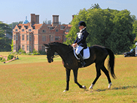 ������ �������� � ������ ��� �����