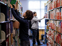 � ����������