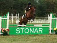 �������� ����