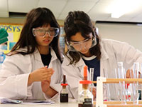 ���� ������������ ����