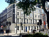 Delfin English School в Лондоне