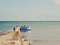 OISE Dawlish